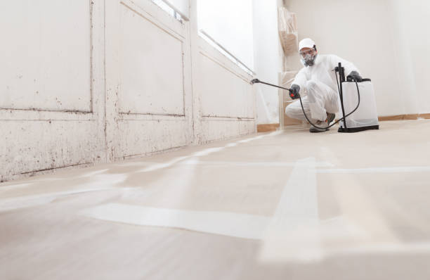 24/7 Emergency Mold Inspection experts in Oxford, MI